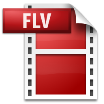 convert FLV to MPEG