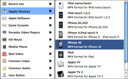 output format