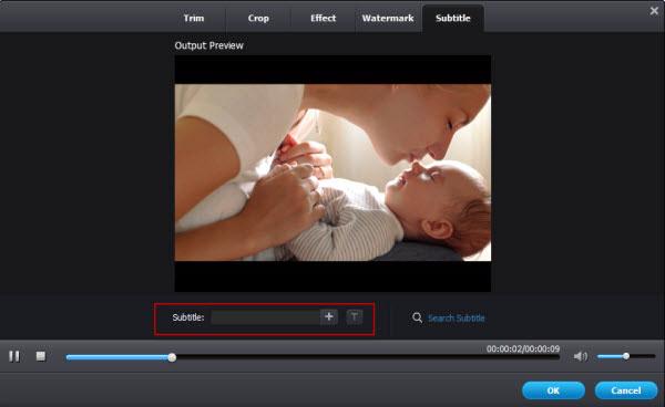 srt to MKV converter