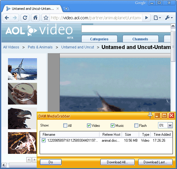 Top 5 AOL video downloader - How to download AOL video