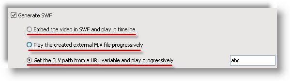 Video to Flash Converter Pro