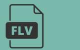 flv-video-downloader-chrome