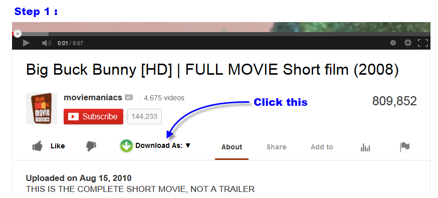 Top 3 YouTube Downloader Add-ons