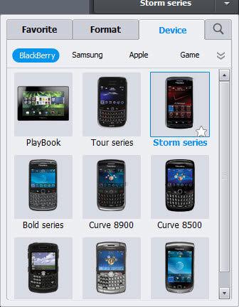 Blackberry Storm series