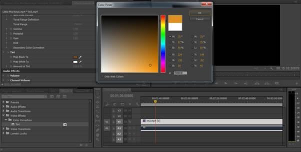 Adobe Premiere Effect