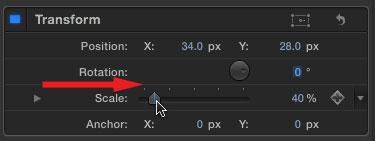 pip effect in fcp