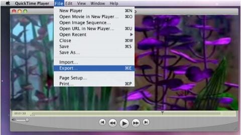 compress video with quicktime player pro