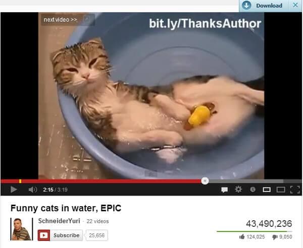 كيفية تحميل أشرطة فيديو مضحك القط في نقرة