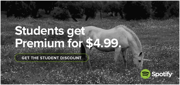 about-these-spotify-discount