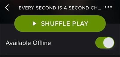 Spotify for iPhone online or Spotify offline iPhone