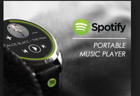 Tips for Spotify Portable