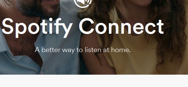 How Many do You Know about Spotify Beta
