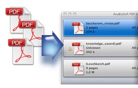 Convert Encrypted PDF Files