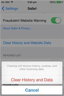 Clear Browser History from an iPhone