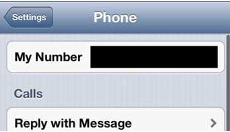 how to find sim card number on iphone 5