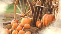 Beautiful Thanksgiving Slideshow