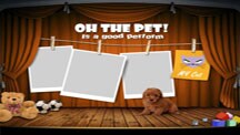 Cat Collage Template