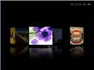 3d carousel flash template