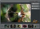 flash photo album template