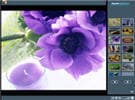flash photo album template
