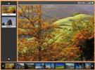 flash photo album template
