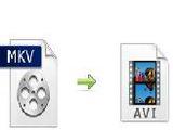 Transform MKV to AVI