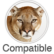 lion icon