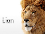 Install Mac OS X Lion