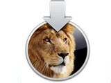 Get a free Lion upgrade