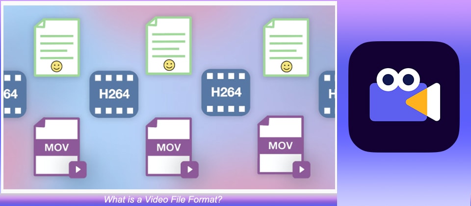 Video File Format