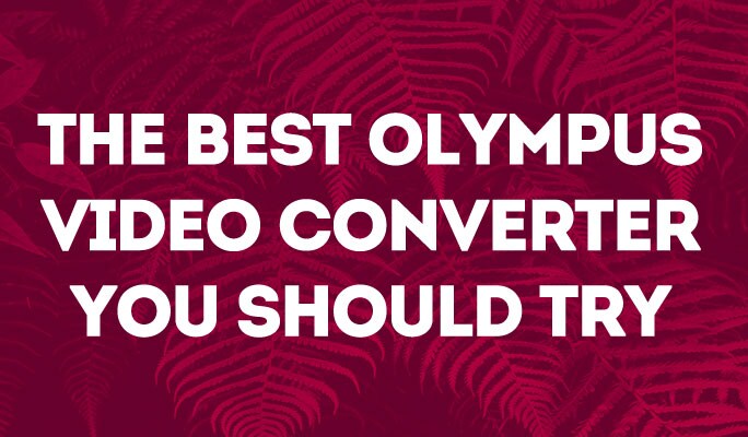 The Best Olympus Video Converter You Should Try