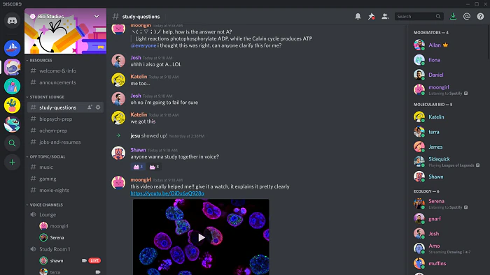 discord-screen