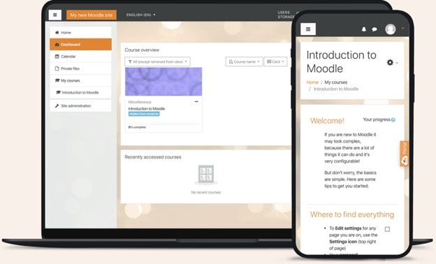 moodle interface