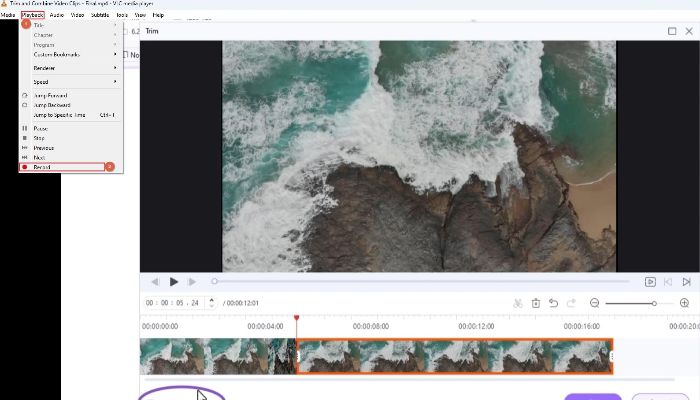 start YouTube live record with VLC