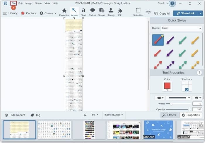 save scrolling screenshots windows with snagit