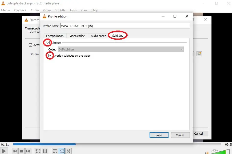 enable subtitles in mkv file