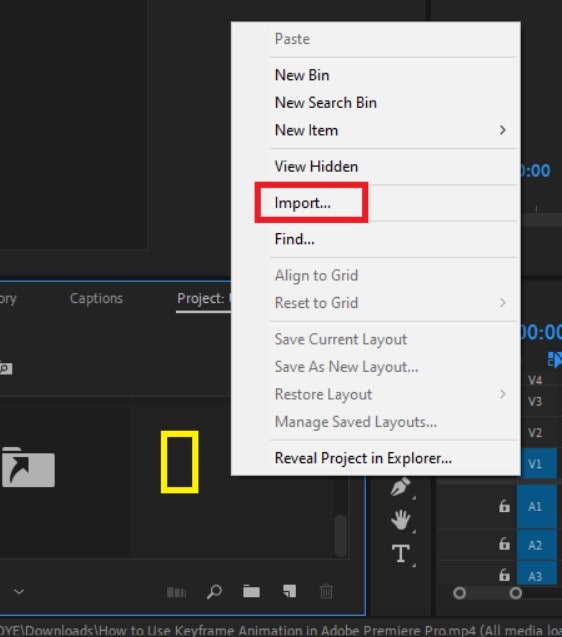 import the video file to adobe