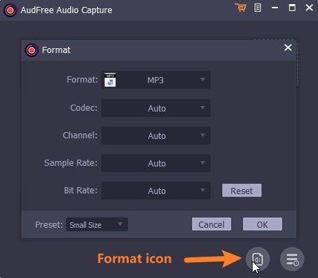audfree custom size settings