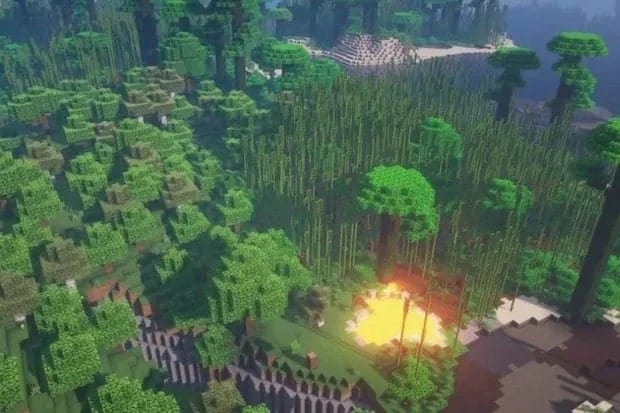 beautiful bamboo and lava map