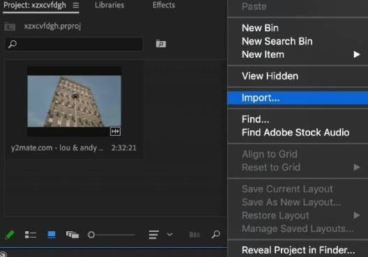 crop video in premiere step 1