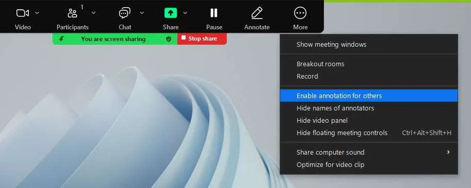 enable annotation for others in meetings
