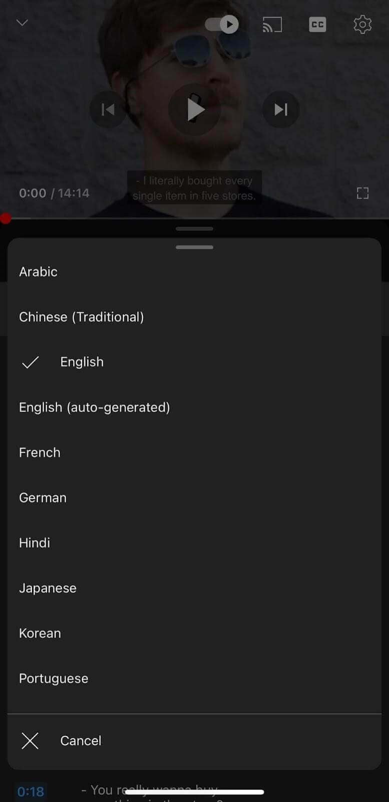 choose a language 