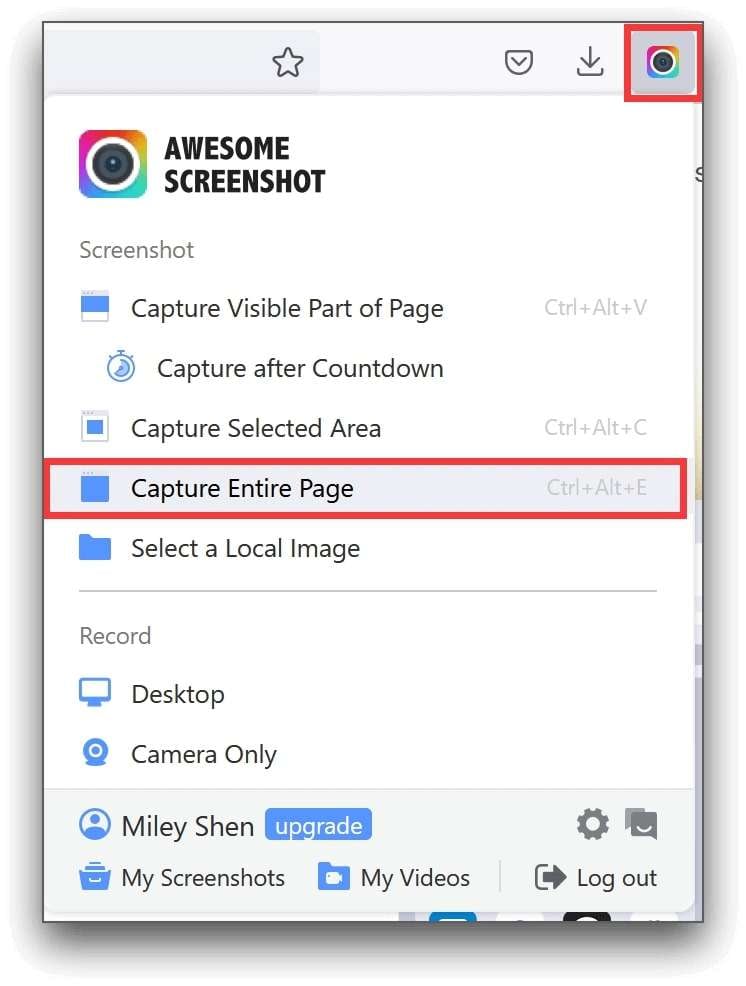use a firefox screen capture extension