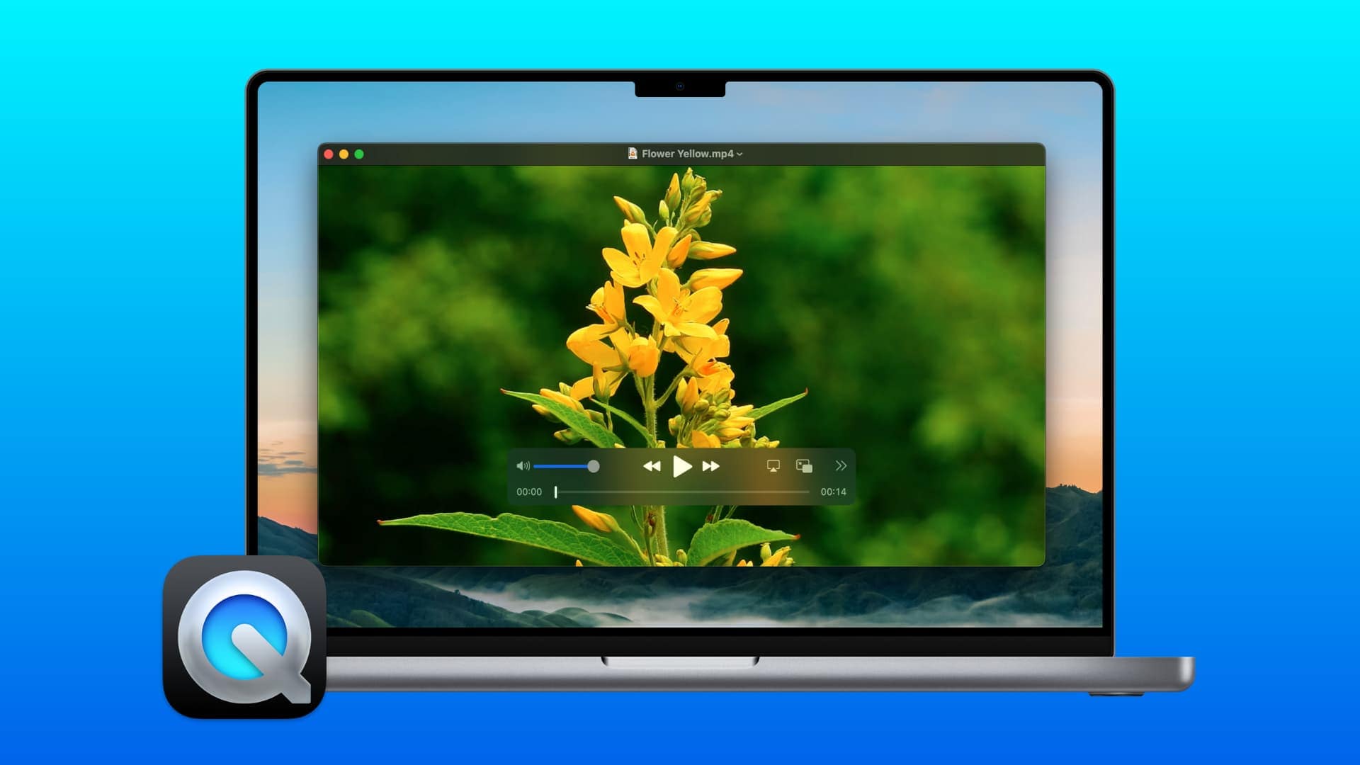 quicktime player audio recorder for mac