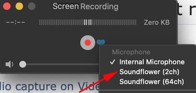 select soundflower to capture system sounds with quicktime