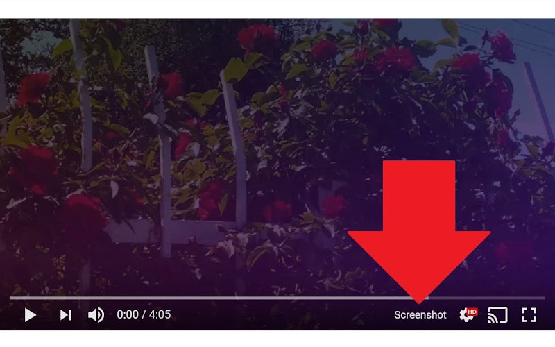 screenshot youtube extension 