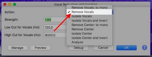 remove vocals audacity