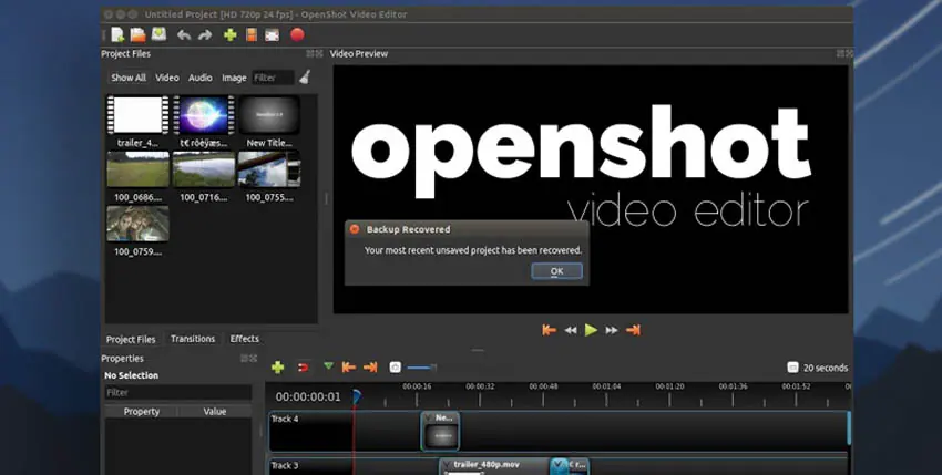 openshot video editor zoom