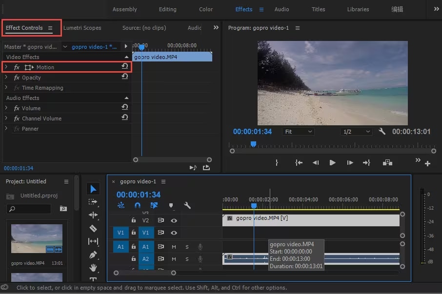 select the level of flipping in premiere pro