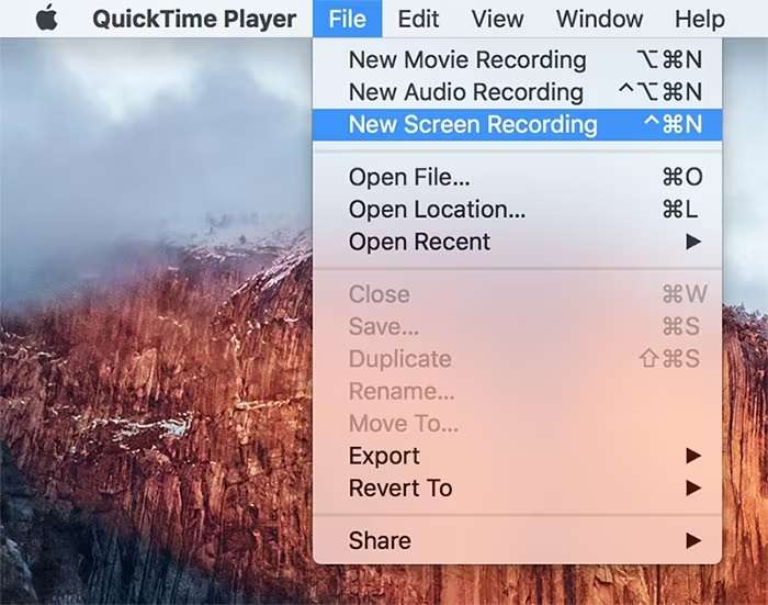 quicktime player user interface